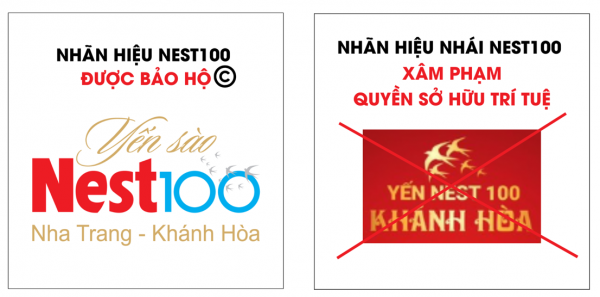 CÔNG BỐ KẾT LUẬN GIÁM ĐỊNH SỞ HỮU NHÃN HIỆU & KHUYẾN CÁO XÂM PHẠM QUYỀN SỞ HỮU TRÍ TUỆ NHÃN HIỆU NEST1OO