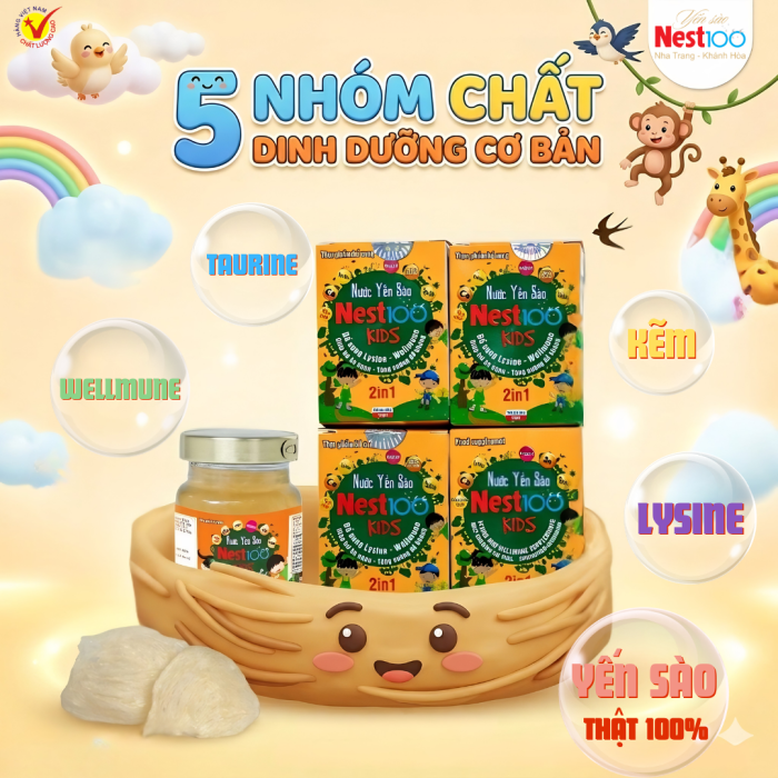 5 nhóm dưỡng chất cần thiết cho bé - Yến sào Nest100 Kids 2in1