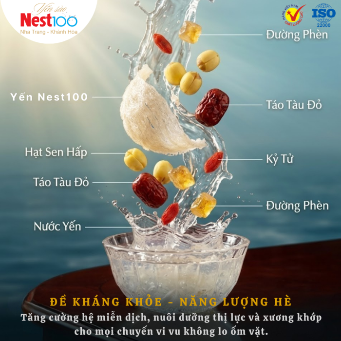 Yến Tổ Nest100 - Đề kháng khỏe - Năng lượng hè